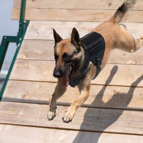 Pettorina Tattica K9 per cani - Nero